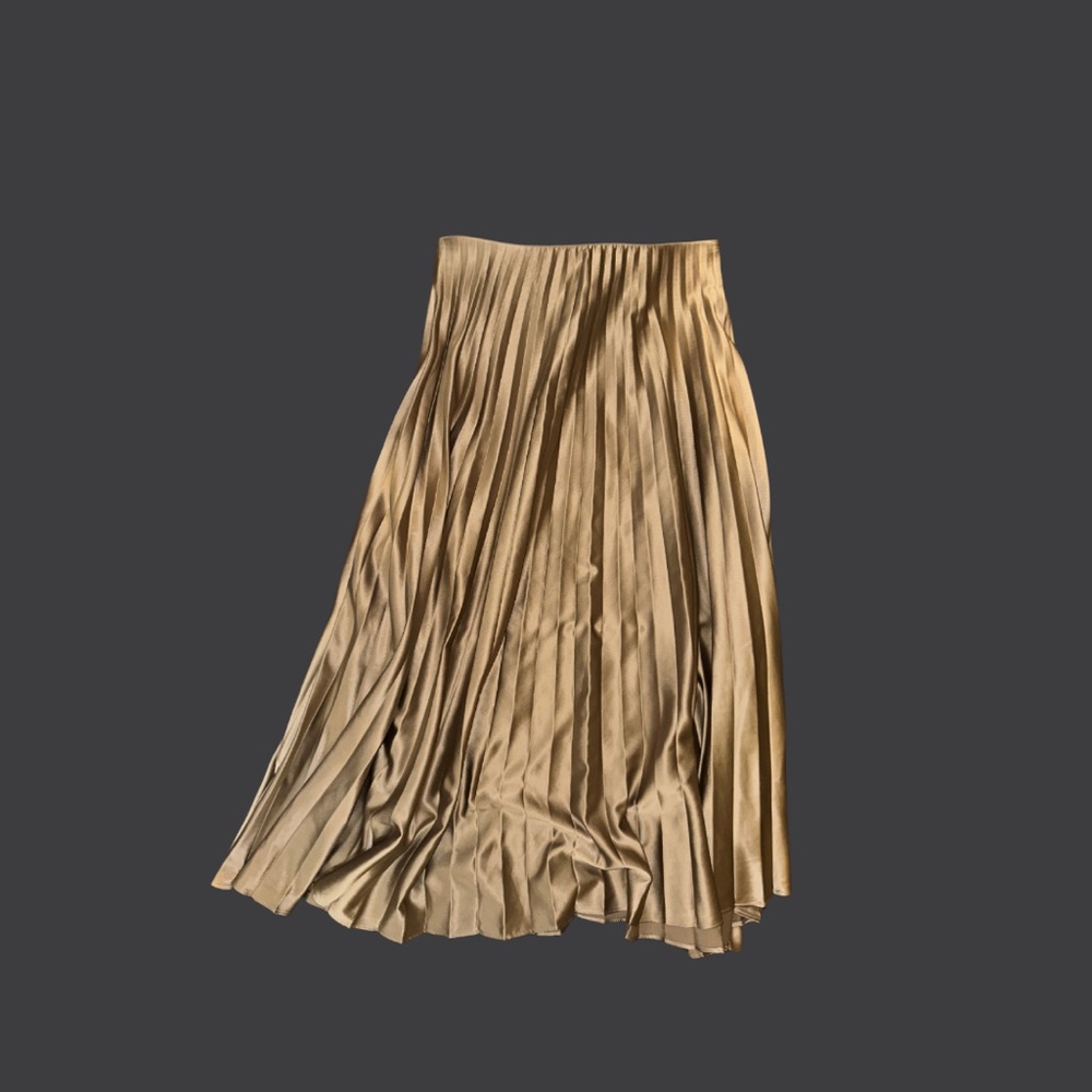 Zara Pleated Metallic Skirt